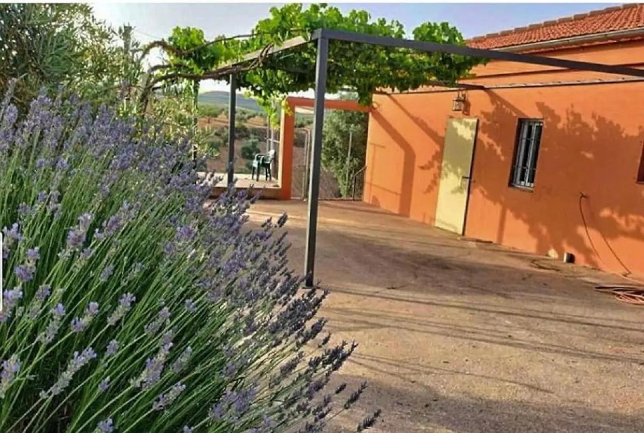 Сasa de vacaciones Villa Cortijo Puente Alhama Alhama de Granada España